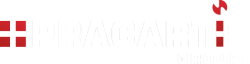 PRACARTIS GROUPE
